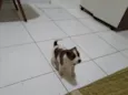 Bebê 