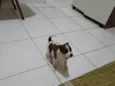 Bebê