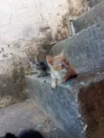Ainda sem nome
