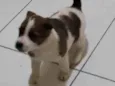 Bebê 