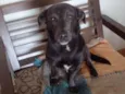 Billy