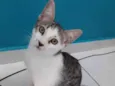 Riquinho