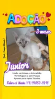 Júnior e Belinha