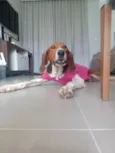 Madalena