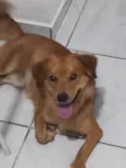 Teco