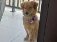 Teco