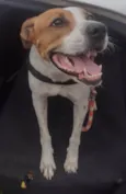 MAC