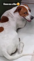 MAC