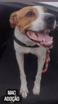 MAC