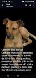 Caramelo