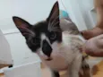 Não sabemos