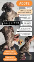 Chiquinha