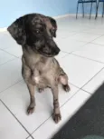 Chiquinha