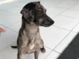 Chiquinha