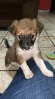 Lua