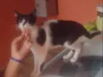 Zoe
