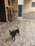 Molusco