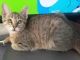 Mel