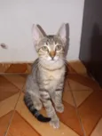Mimi