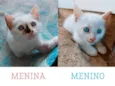 Menina . Menino