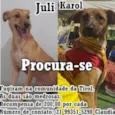 July e cia