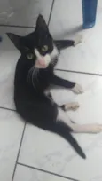 Félix