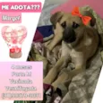 Margot