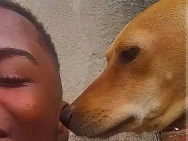 Cachorro ra a SRD-ViraLata idade 3 anos nome Ella