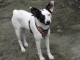 Doçura 