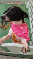 Madalena 