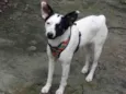 Doçura 