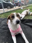 Chloe
