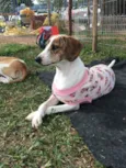Chloe