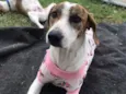 Chloe