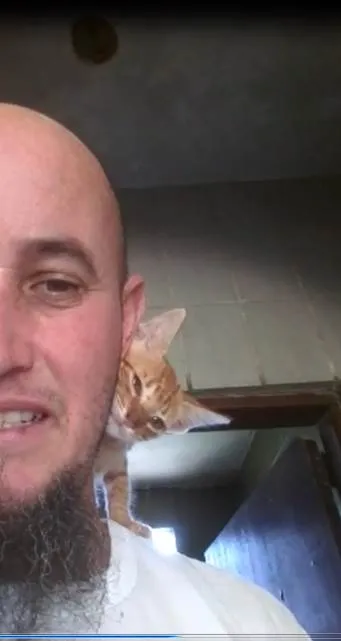 Gato ra a SRD-ViraLata idade 2 a 6 meses nome Pacato