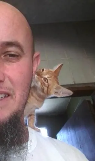 Gato ra a SRD-ViraLata idade 2 a 6 meses nome Pacato