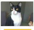 MARGÔ 