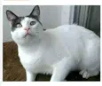 JOHN