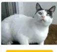 JOHN
