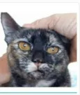LUÍSA