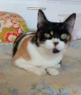 Sara