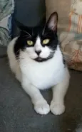 Filó