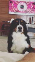 Kika