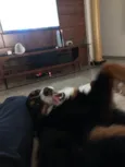Kika