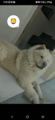 Billy
