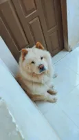 Billy