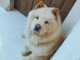 Billy