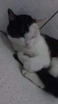 Rita