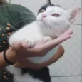Rita