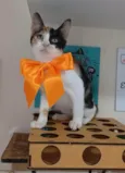 Mia